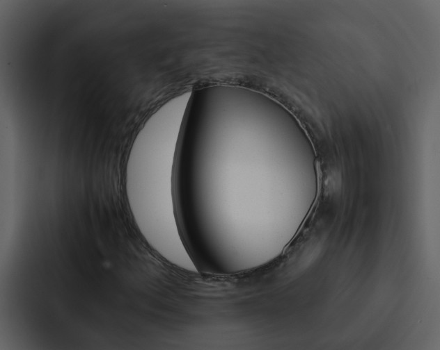 X0000088151156200705141046
