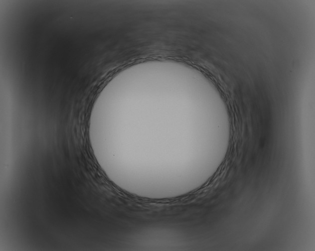 X0000088151157200705141046
