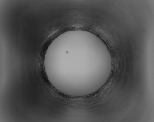 X0000088151158200705141046