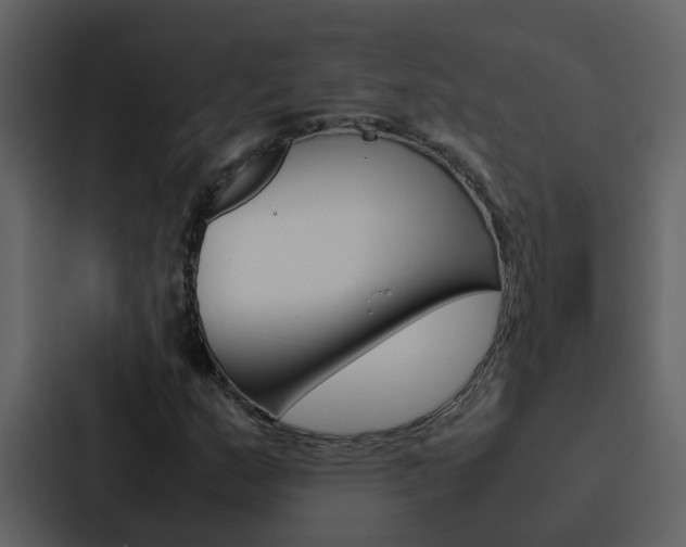 X0000088151159200705141046