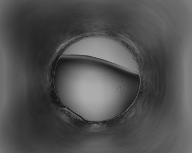X0000088151160200705141046