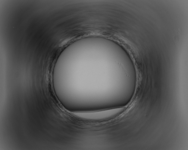 X0000088151161200705141046
