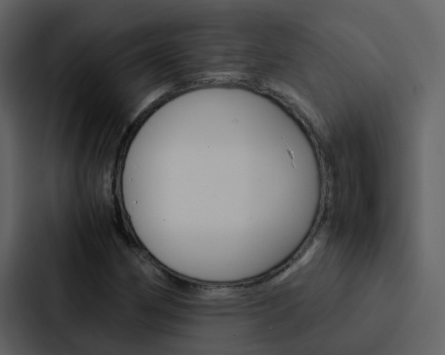 X0000088151162200705141046
