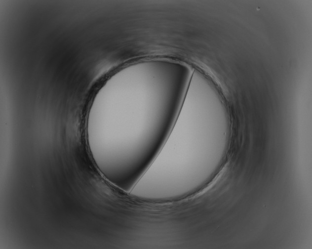X0000088151163200705141046