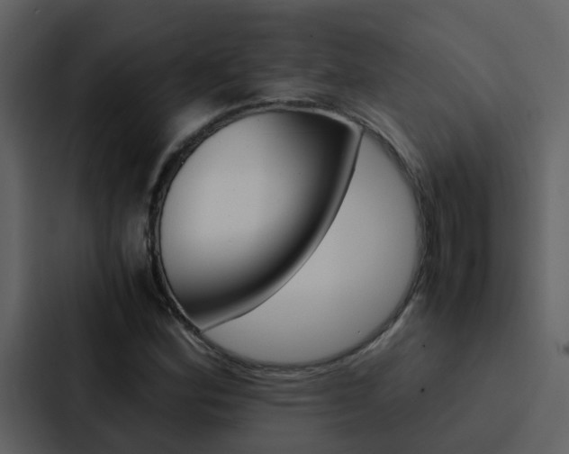 X0000088151164200705141046