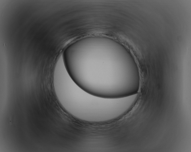 X0000088151169200705141045