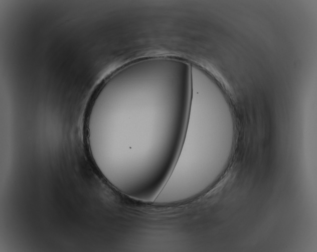 X0000088151173200705141045