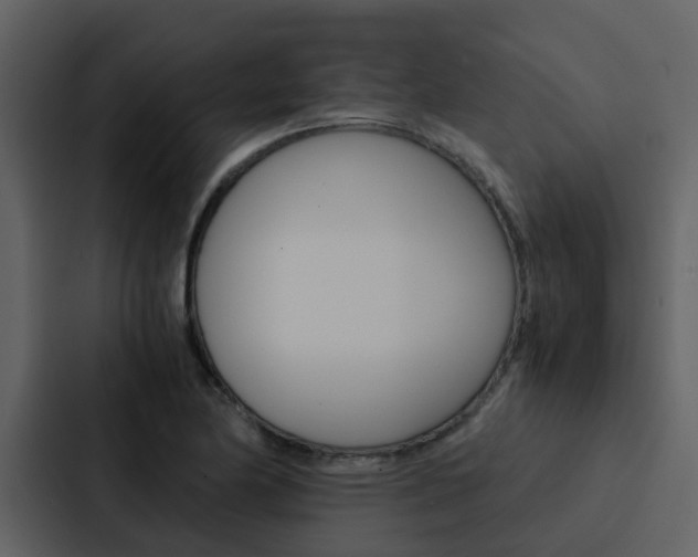 X0000088151174200705141045