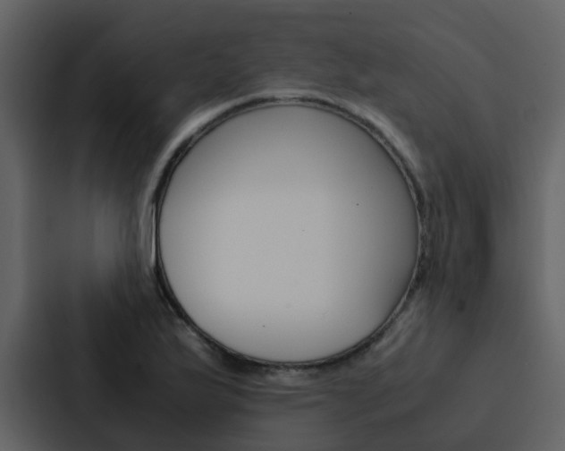 X0000088151175200705141045