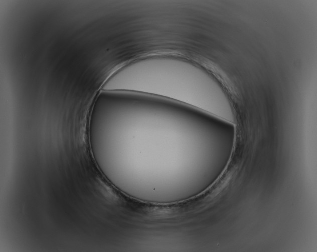 X0000088151177200705141045