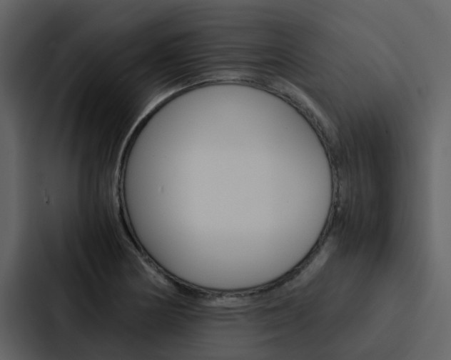 X0000088151178200705141045