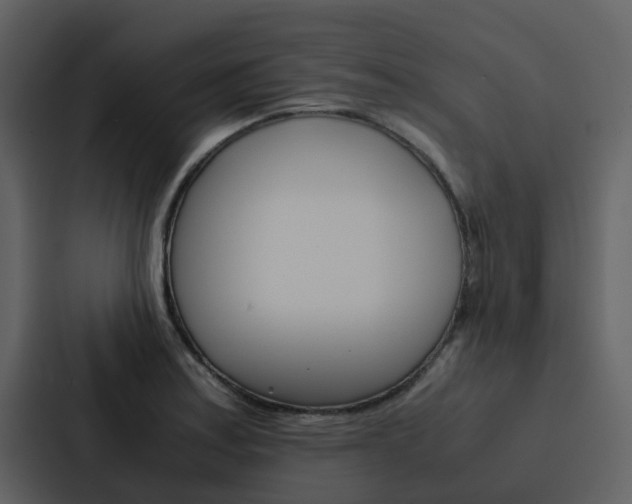 X0000088151179200705141045