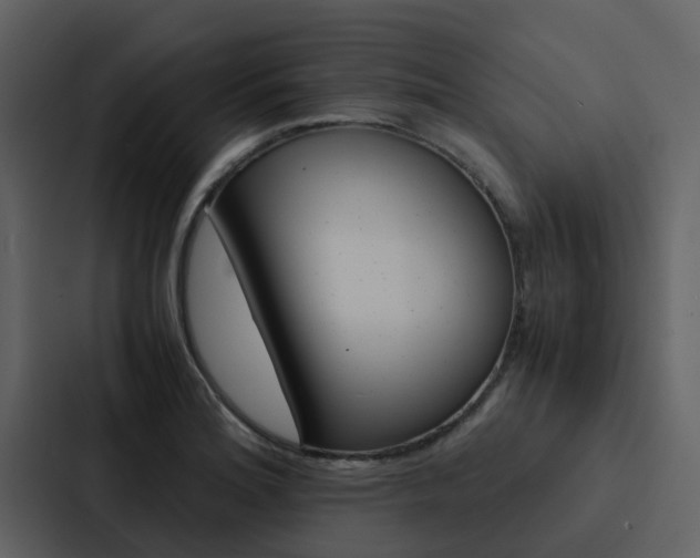 X0000088151180200705141045