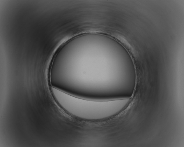 X0000088151181200705141045