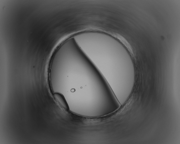 X0000088151183200705141045