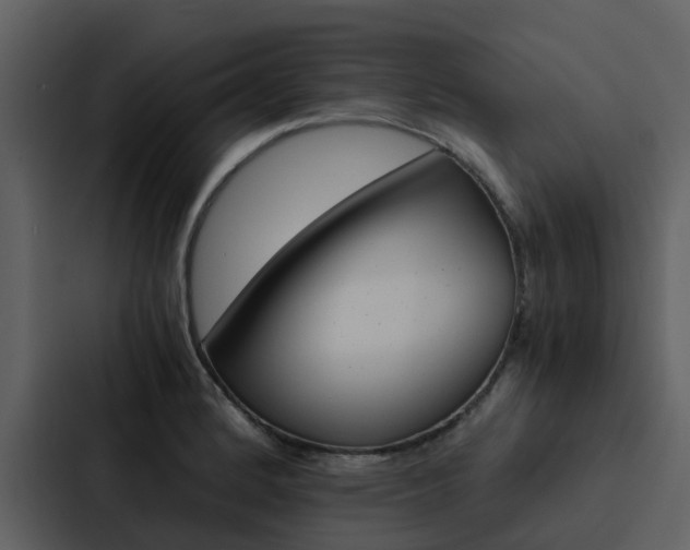 X0000088151184200705141045
