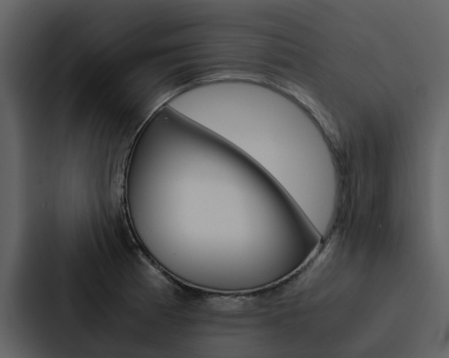 X0000088151185200705141045