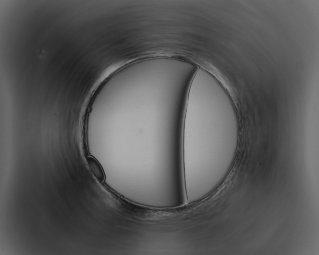 X0000088151187200705141045