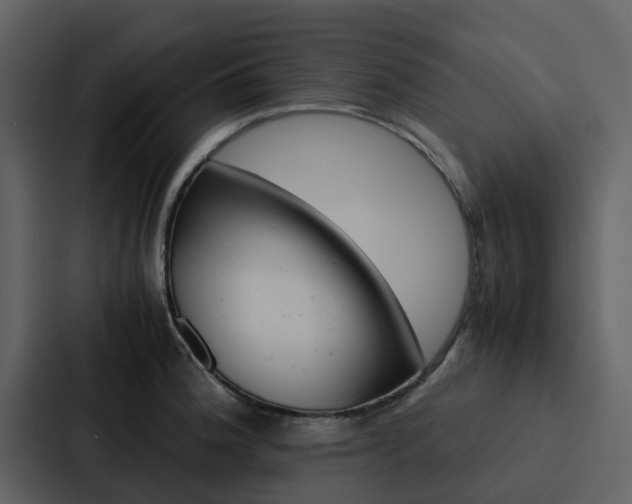 X0000088151188200705141045