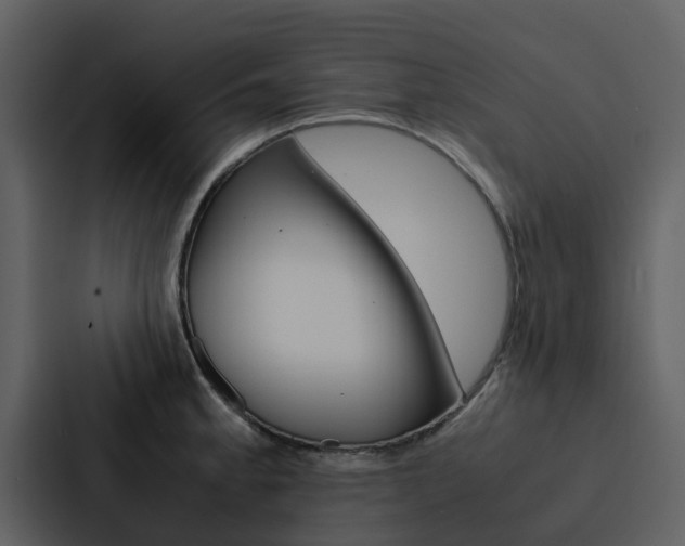 X0000088151189200705141045