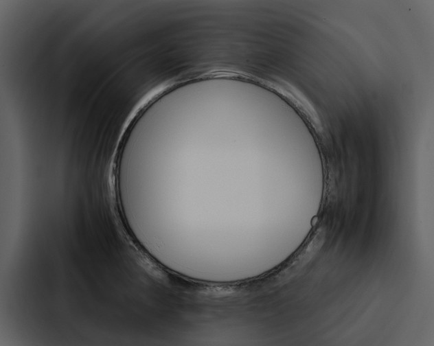 X0000088151190200705141045