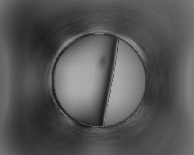 X0000088151191200705141045