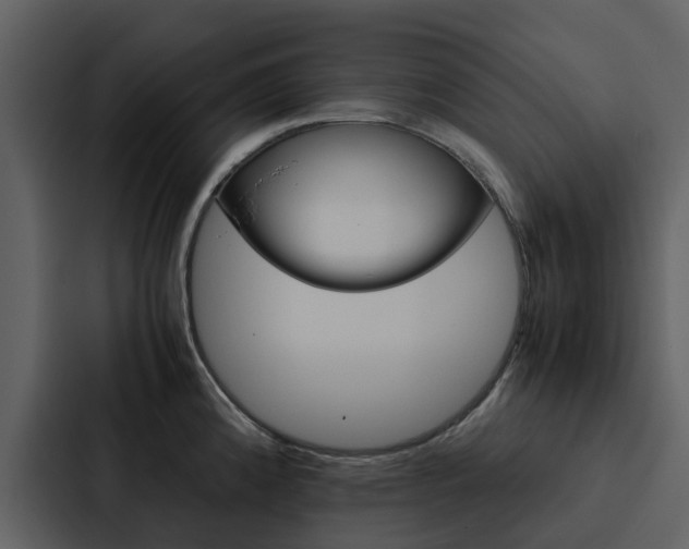 X0000088151192200705141045