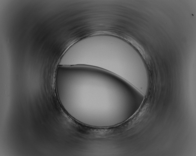 X0000088151193200705141045