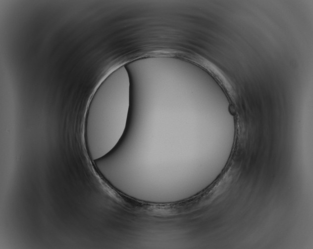 X0000088151194200705141045