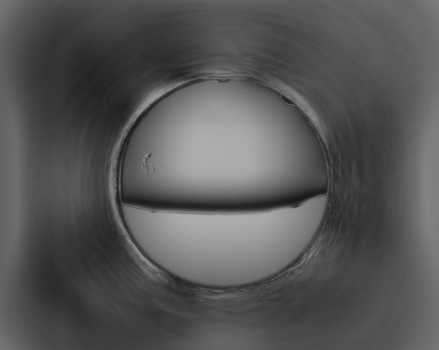 X0000088151195200705141045