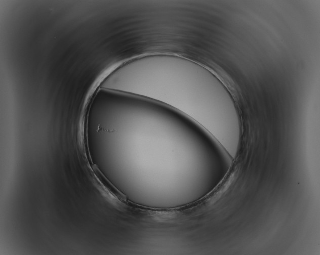 X0000088151196200705141045