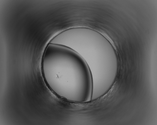 X0000088151197200705141045
