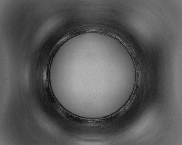 X0000088151198200705141045