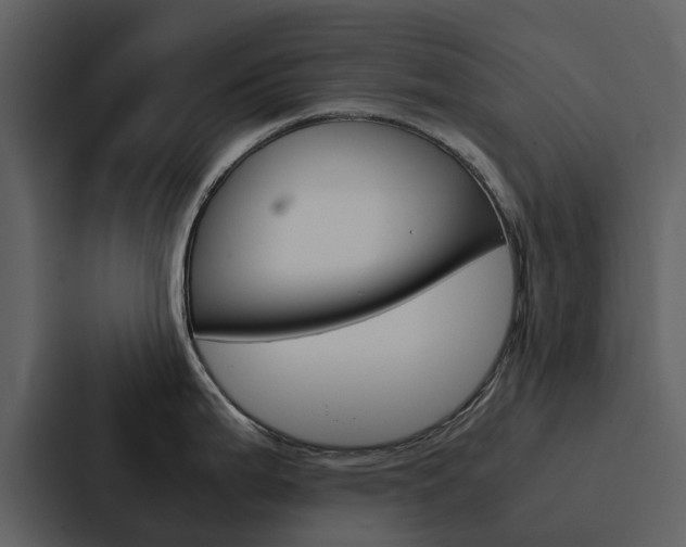 X0000088151199200705141045