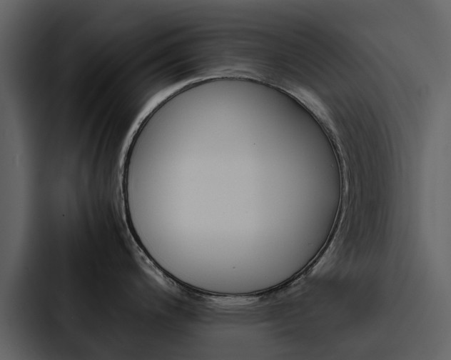 X0000088151200200705141045