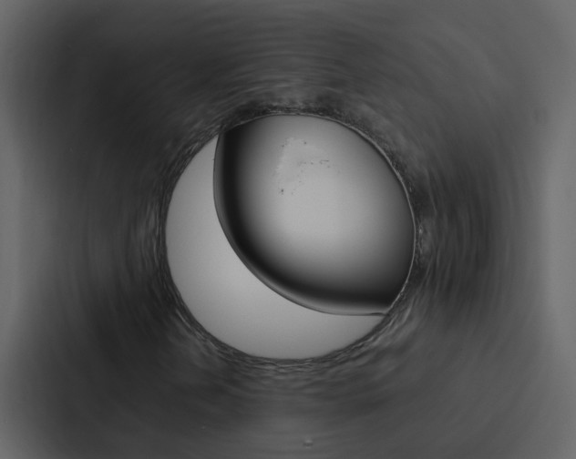 X0000088151202200705141044