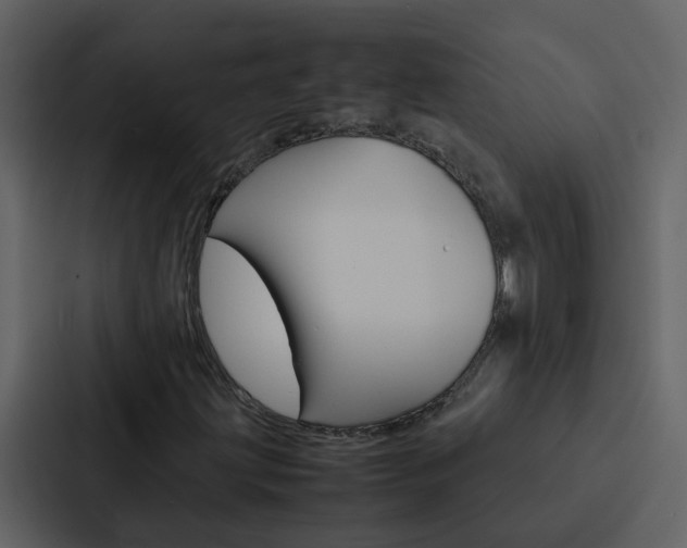 X0000088151203200705141044