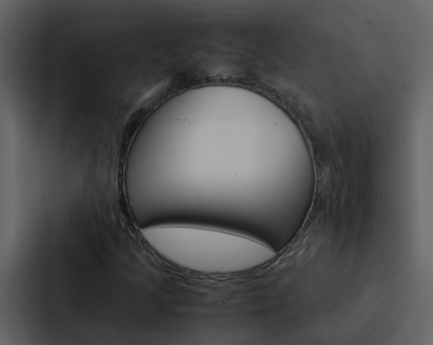 X0000088151205200705141045