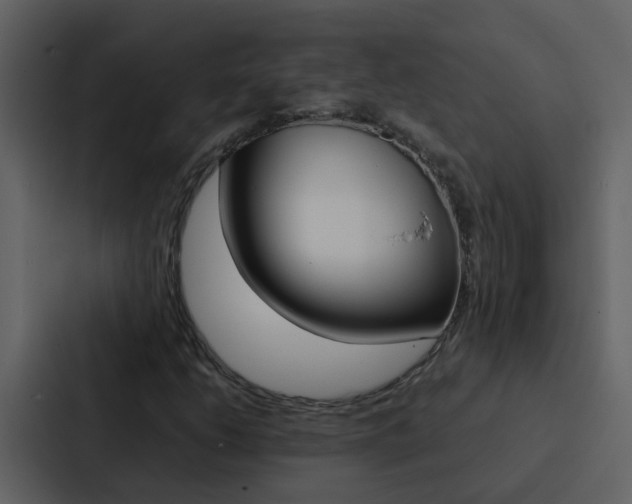 X0000088151206200705141045
