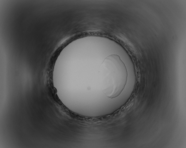 X0000088151208200705141045