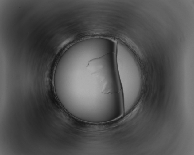 X0000088151210200705141045