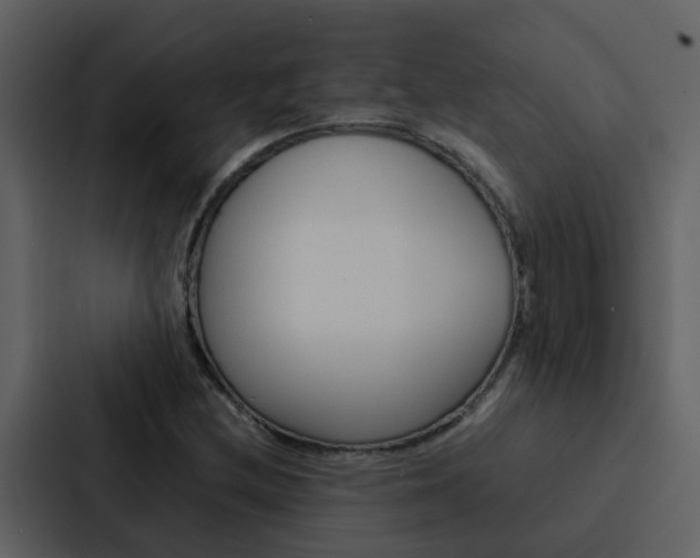 X0000088151212200705141045