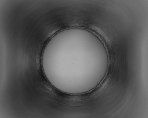 X0000088151217200705141045
