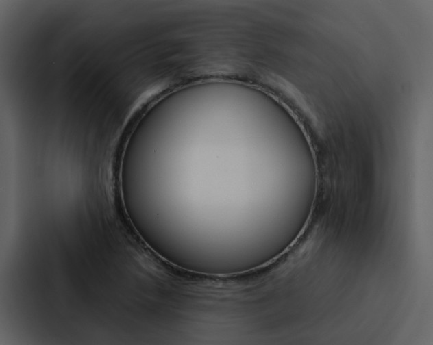 X0000088151218200705141045