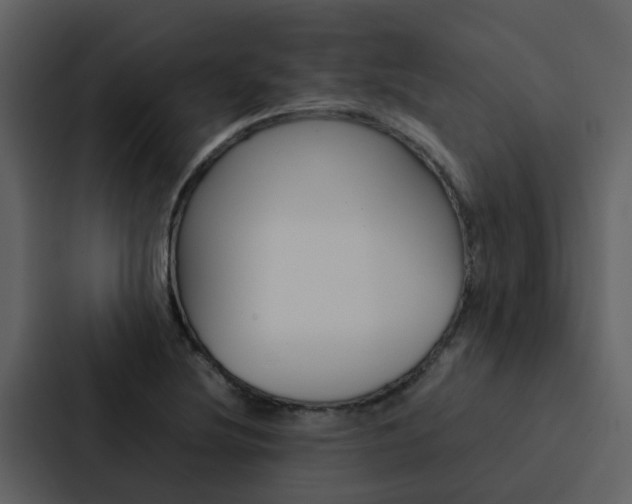 X0000088151220200705141045