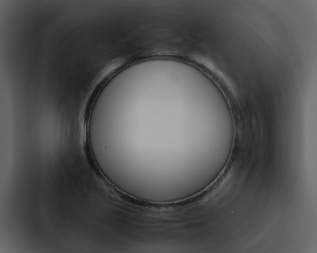 X0000088151221200705141045