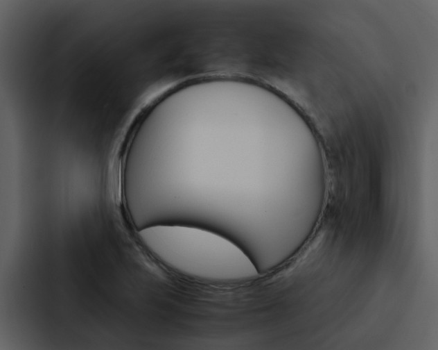 X0000088151223200705141045