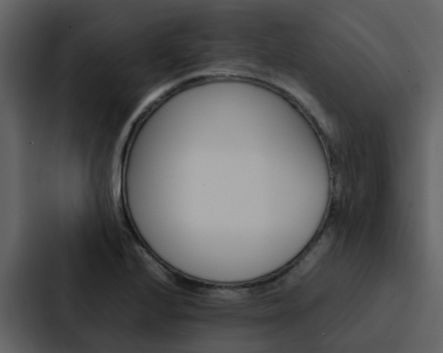 X0000088151224200705141045