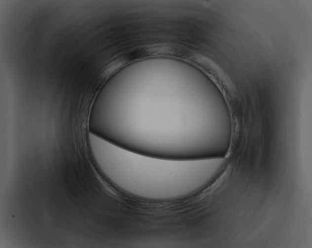 X0000088151225200705141045