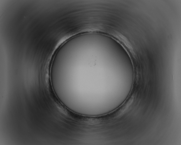 X0000088151226200705141045